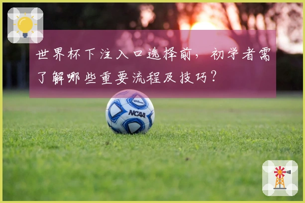 世界杯下注入口选择前，初学者需了解哪些重要流程及技巧？