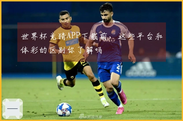 世界杯竞猜APP下载前，这些平台和体彩的区别你了解吗