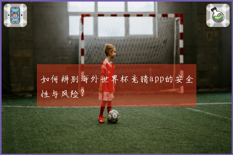 如何辨别海外世界杯竞猜app的安全性与风险？