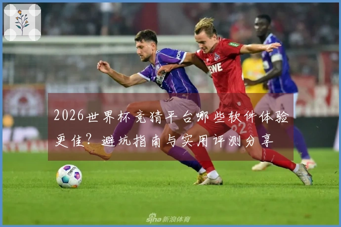 2026世界杯竞猜平台哪些软件体验更佳？避坑指南与实用评测分享