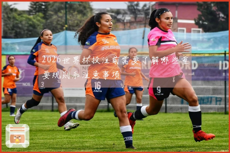 2026世界杯投注前需要了解哪些重要规则和注意事项