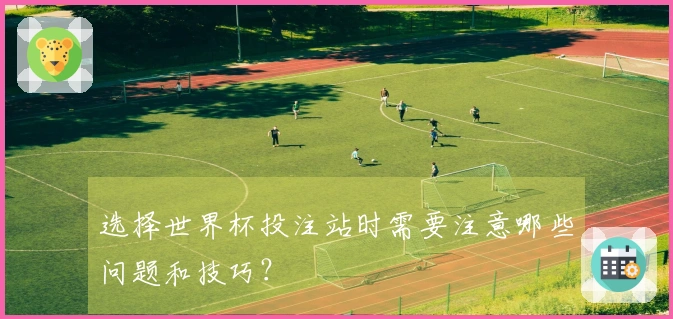 选择世界杯投注站时需要注意哪些问题和技巧？
