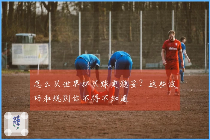 怎么买世界杯买球更稳妥？这些技巧和规则你不得不知道