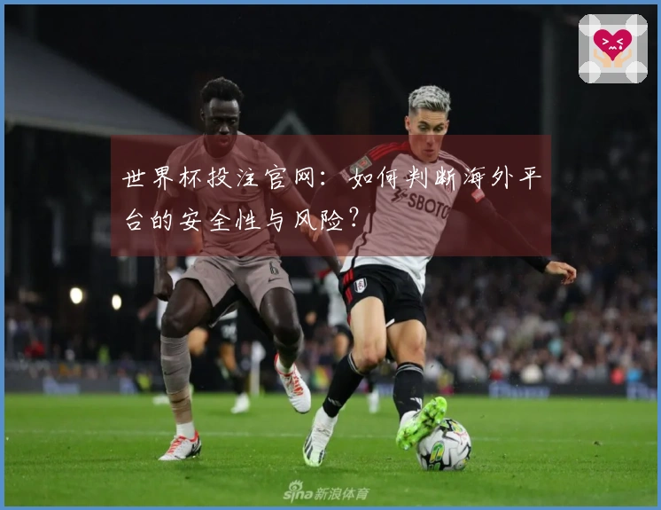 世界杯投注官网：如何判断海外平台的安全性与风险？