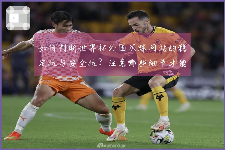 如何判断世界杯外围买球网站的稳定性与安全性？注意哪些细节才能避免风险？