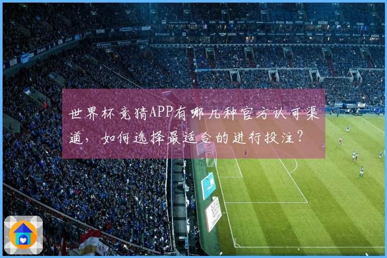 世界杯竞猜APP有哪几种官方认可渠道，如何选择最适合的进行投注？