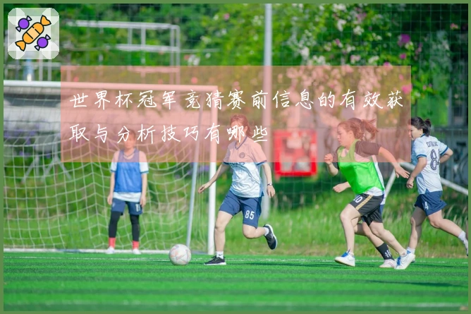 世界杯冠军竞猜赛前信息的有效获取与分析技巧有哪些