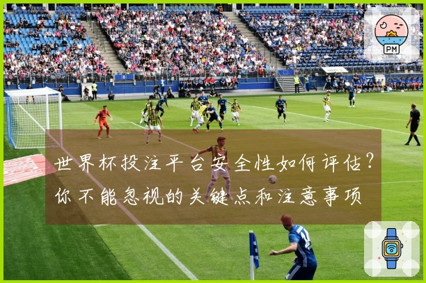 世界杯投注平台安全性如何评估？你不能忽视的关键点和注意事项