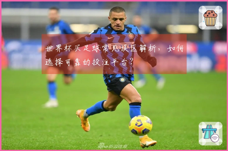 世界杯买足球常见误区解析，如何选择可靠的投注平台？