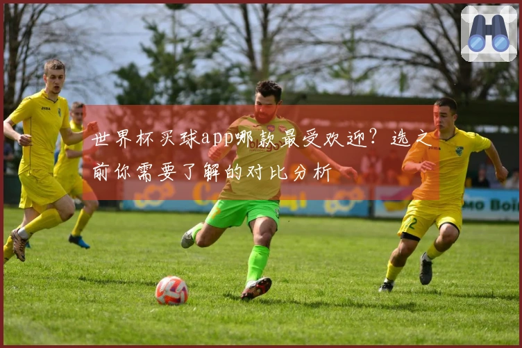 世界杯买球app哪款最受欢迎？选之前你需要了解的对比分析