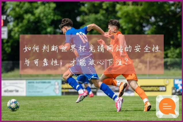 如何判断世界杯竞猜网站的安全性与可靠性,才能放心下注?
