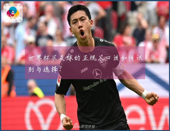 世界杯买足球的正规入口该如何识别与选择？