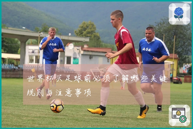 世界杯买足球前必须了解哪些关键规则与注意事项