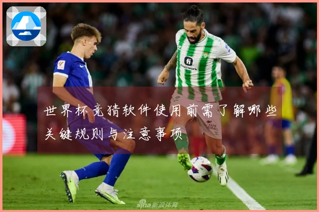 世界杯竞猜软件使用前需了解哪些关键规则与注意事项