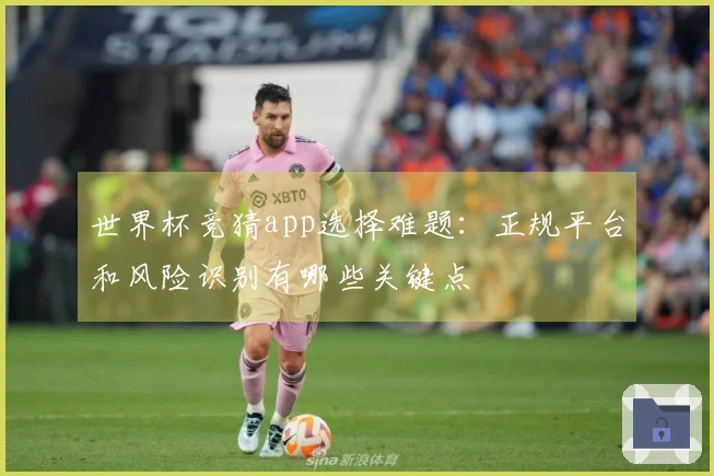 世界杯竞猜app选择难题：正规平台和风险识别有哪些关键点