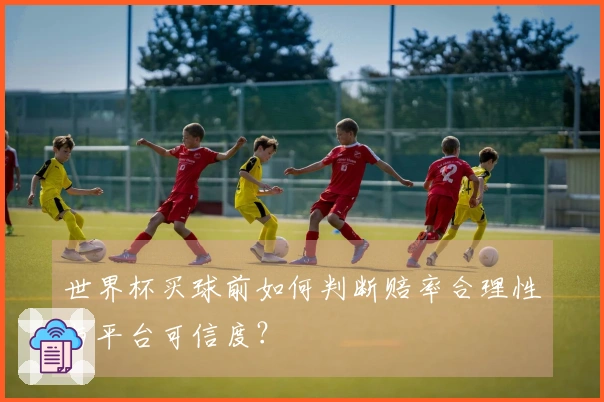 世界杯买球前如何判断赔率合理性与平台可信度？