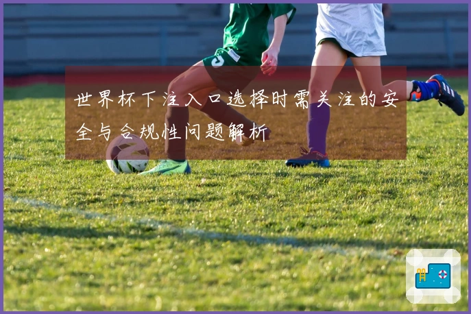 世界杯下注入口选择时需关注的安全与合规性问题解析