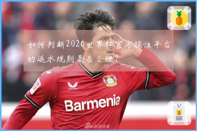 如何判断2026世界杯官方投注平台的返水规则是否合理？