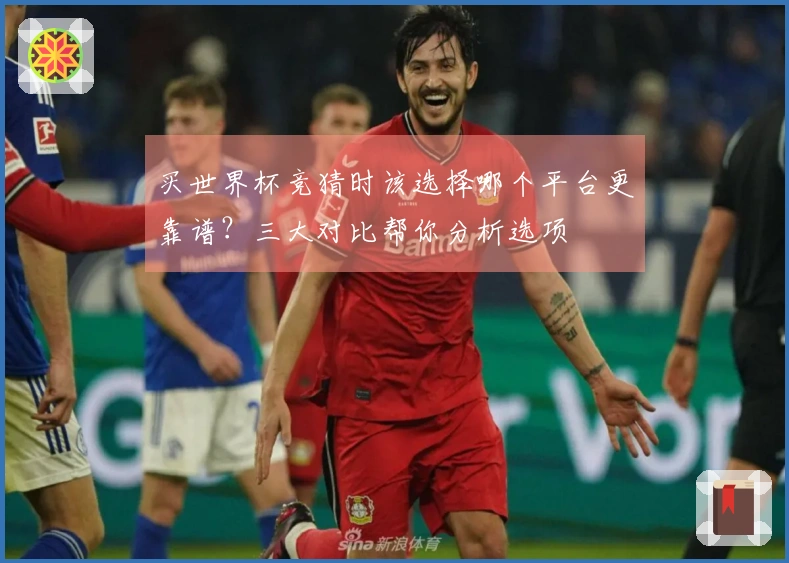 买世界杯竞猜时该选择哪个平台更靠谱？三大对比帮你分析选项