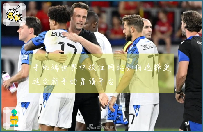 手机端世界杯投注网站如何选择更适合新手的靠谱平台