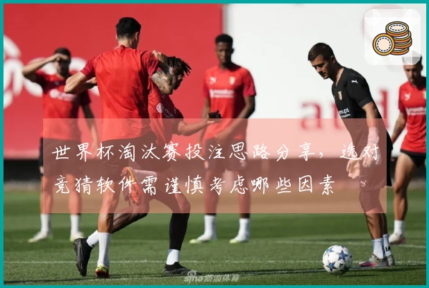 世界杯淘汰赛投注思路分享，选对竞猜软件需谨慎考虑哪些因素