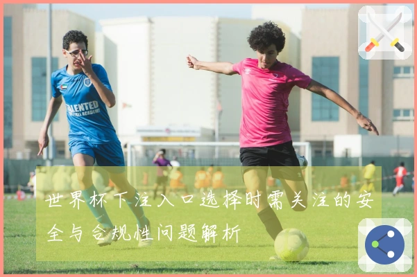 世界杯下注入口选择时需关注的安全与合规性问题解析