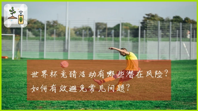 世界杯竞猜活动有哪些潜在风险？如何有效避免常见问题？