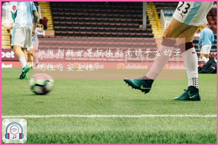 如何判断世界杯体彩竞猜平台的正规性与安全性？