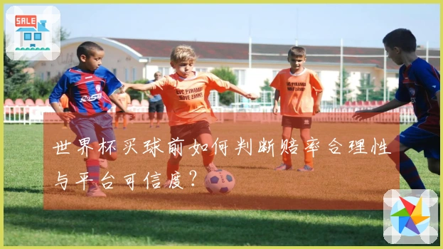 世界杯买球前如何判断赔率合理性与平台可信度？