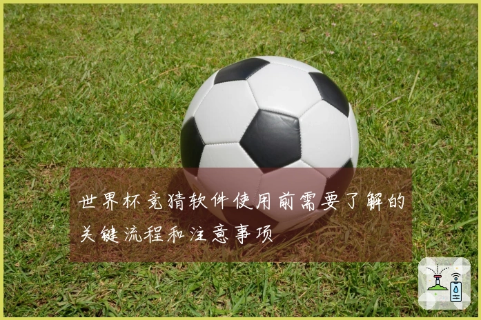 世界杯竞猜软件使用前需要了解的关键流程和注意事项