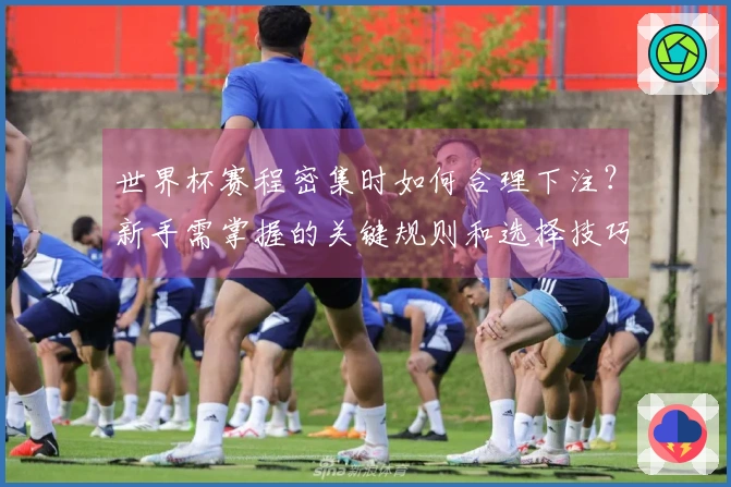 世界杯赛程密集时如何合理下注？新手需掌握的关键规则和选择技巧