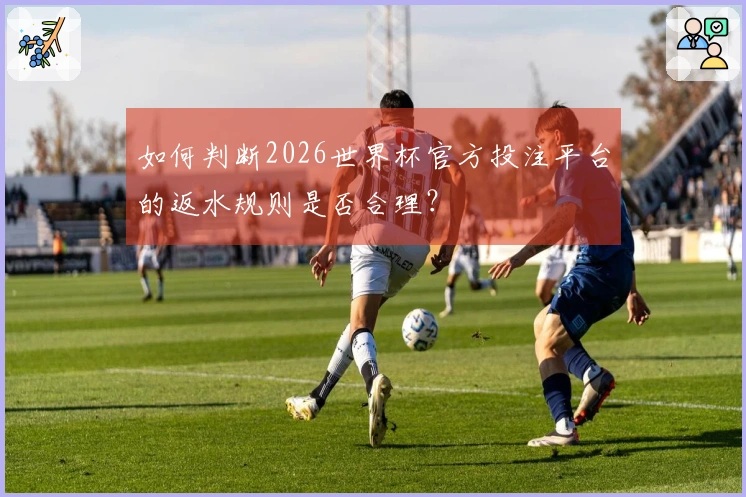 如何判断2026世界杯官方投注平台的返水规则是否合理？