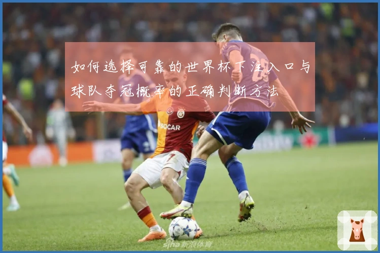 如何选择可靠的世界杯下注入口与球队夺冠概率的正确判断方法