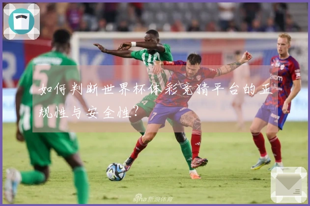 如何判断世界杯体彩竞猜平台的正规性与安全性？