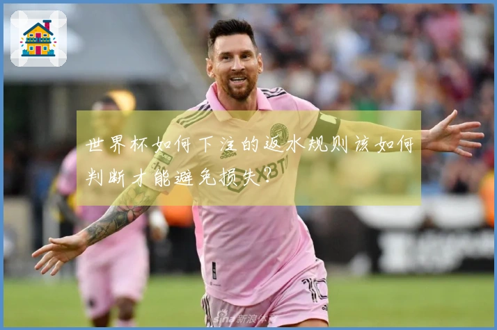 世界杯如何下注的返水规则该如何判断才能避免损失？