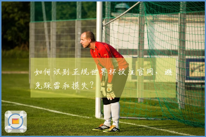 如何识别正规世界杯投注官网,避免踩雷和损失?