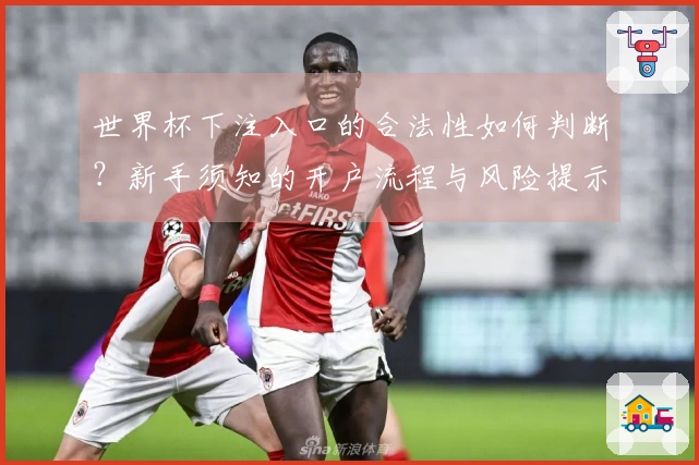 世界杯下注入口的合法性如何判断？新手须知的开户流程与风险提示