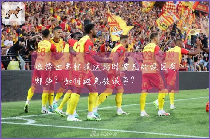 选择世界杯投注站时常见的误区有哪些？如何避免被误导？