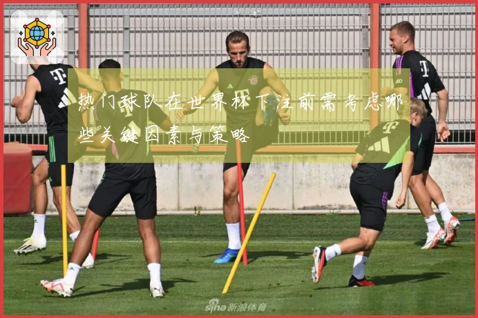 热门球队在世界杯下注前需考虑哪些关键因素与策略